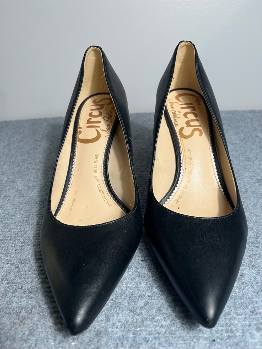 Circus by Sam Edelman Black Pointed Toe Pumps. Minor scuff to heel.